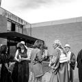 mfo garden party 2026