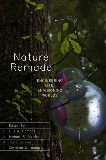 nature remade