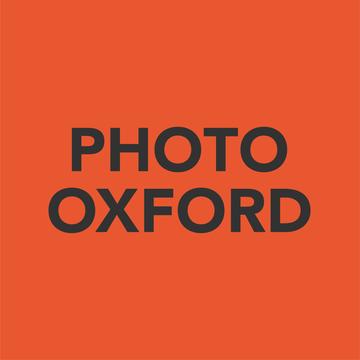 photo ox