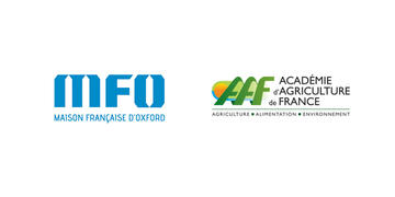 visuel aaf mfo