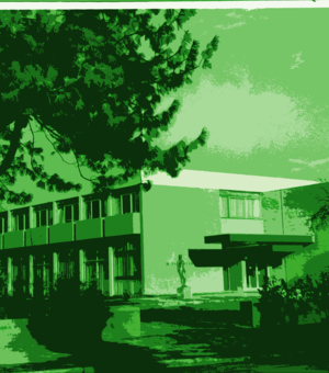 maison vue verte