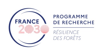 Résilience des forêts