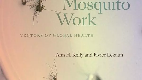 Mosquito Work