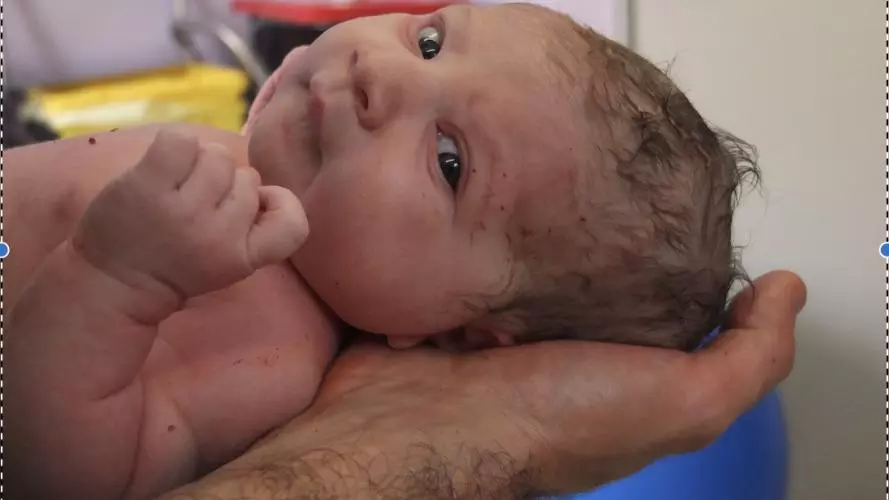 curiousnewborn
