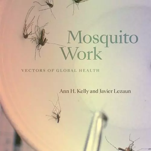 Mosquito Work