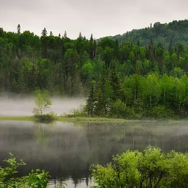 landscape 7280867