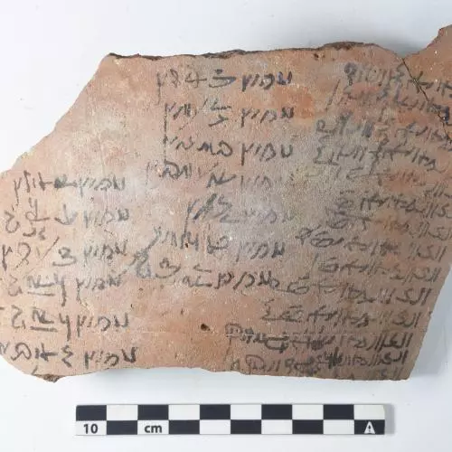 image oathribis 19 36 61