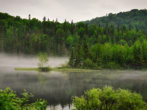 landscape 7280867