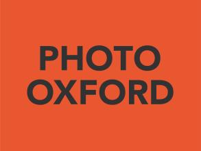 photo ox