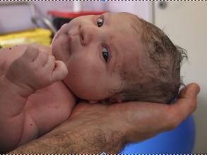 curiousnewborn