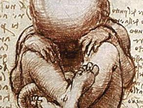 views of a foetus in the womb detail